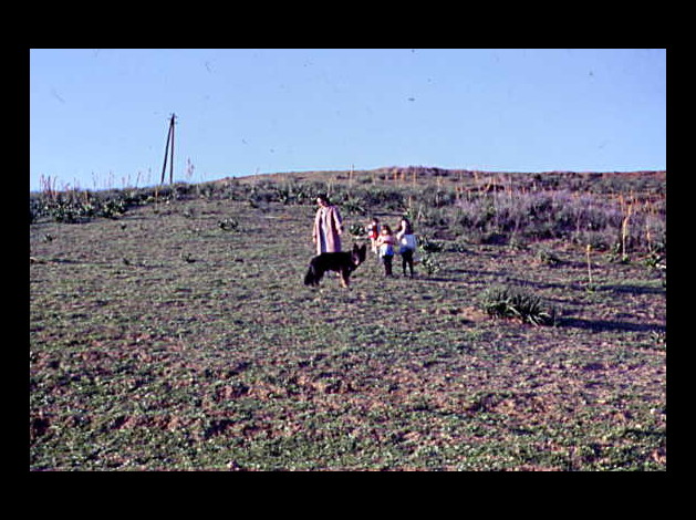 SUR UNE COLLINE A AIN KERMA