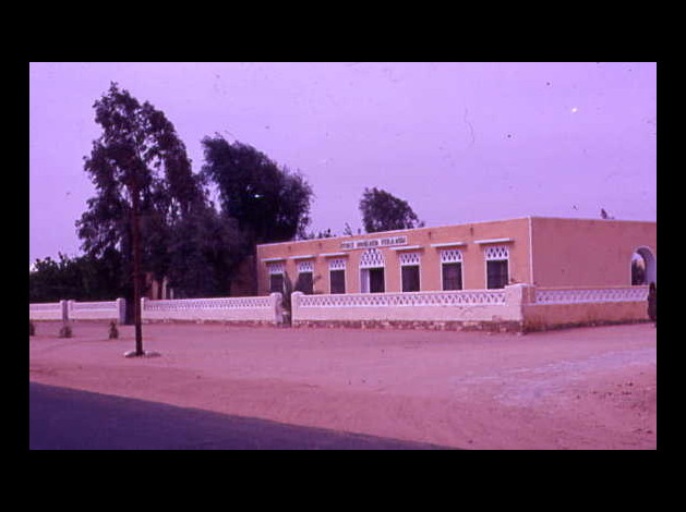 EL GOLEA