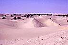 SAHARA