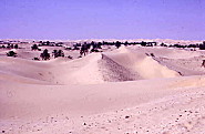 MER DES SABLES A EL OUED