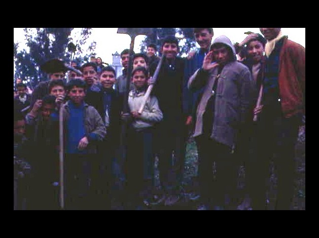 CAMPAGNE DE L'ARBRE EN 1967