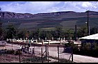 HAMMA BOUZIANE