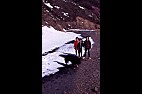 ALGERIE DIVERS