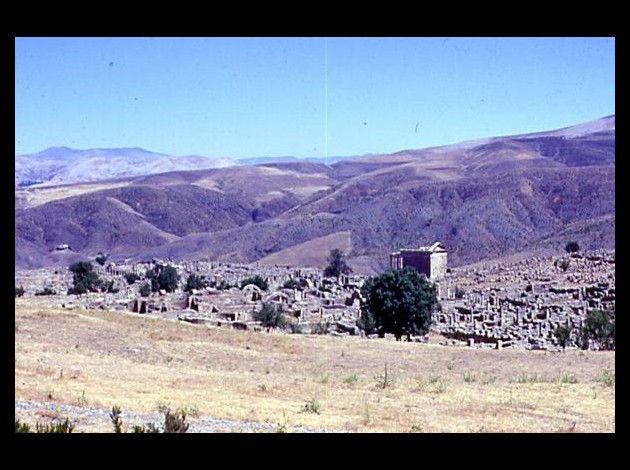 RUINES ROMAINES DE DJEMILA