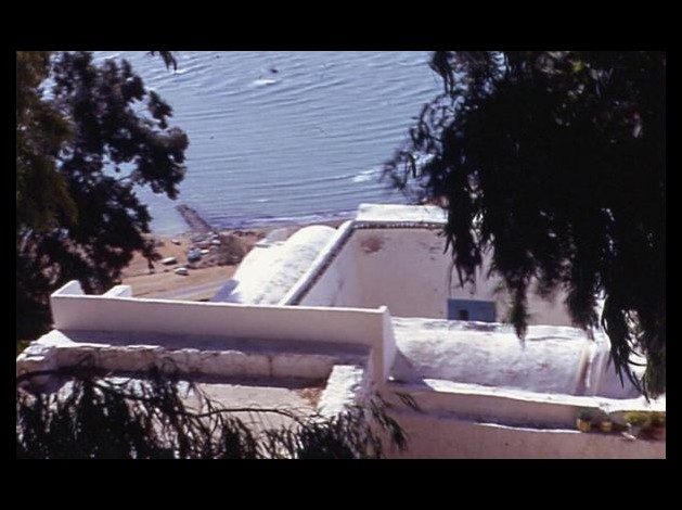 VILLA A CARTHAGE