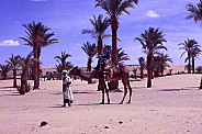 REGION D'EL GOLEA