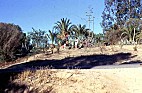CARTHAGE-TUNIS
