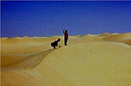 DUNE A EL OUED