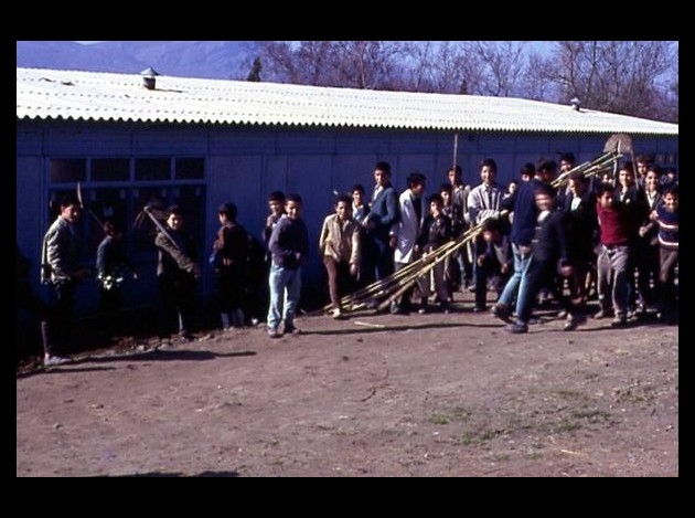 CAMPAGNE DE L'ARBRE EN 1967