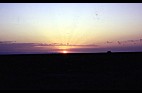 SAHARA