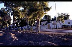 CARTHAGE-TUNIS