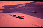 SAHARA