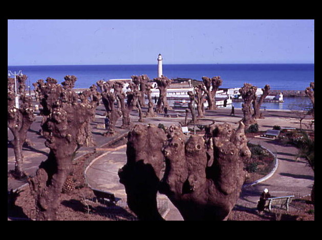 VUE SUR LE PORT DE CHERCHELL