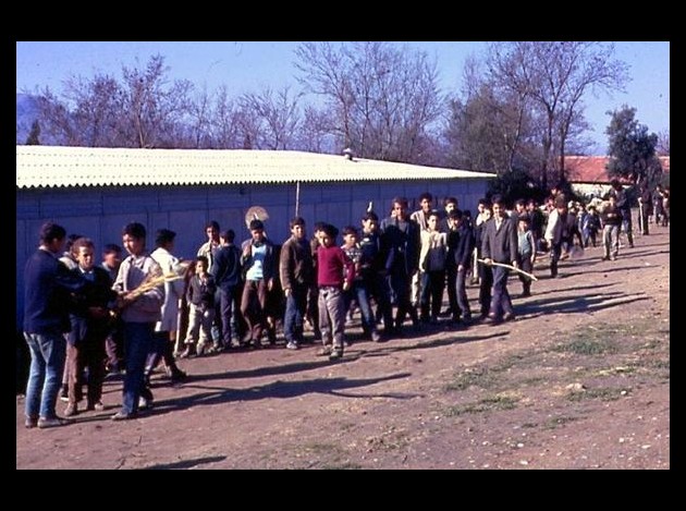 CAMPAGNE DE L'ARBRE A L'ECOLE EN 1967