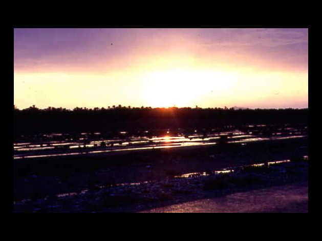 REGION DE BISKRA