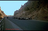DANS LES GORGES D' EL KANTARA