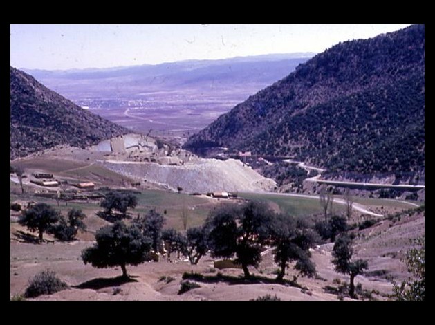 RAVIN BLEU REGION DE BATNA
