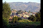 ALGERIE DIVERS