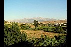 ALGERIE DIVERS