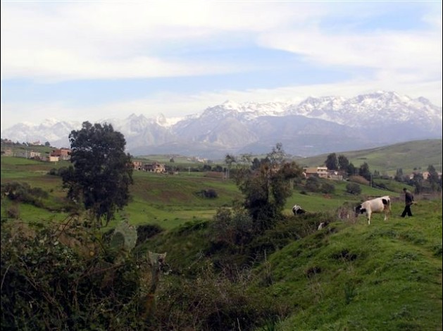DJURDJURA EN MARS 2009