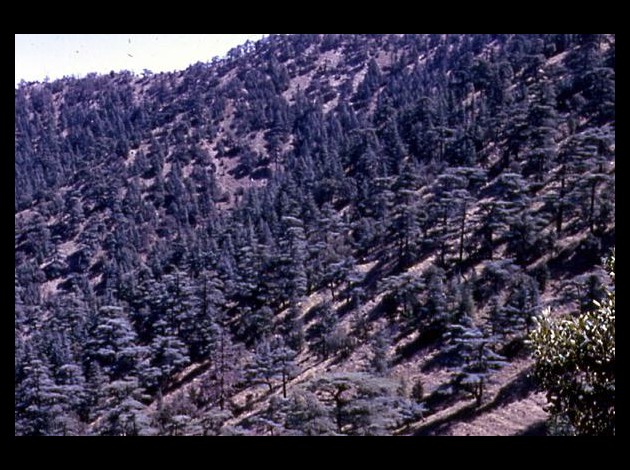 VERS LE COL DU TELMETT