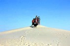 SAHARA